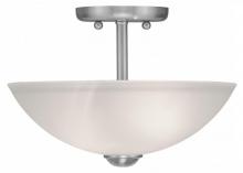 Livex Lighting 4209-91 - Ceiling Mount