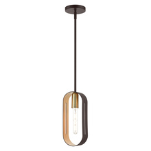 Livex Lighting 45761-07 - 1 Lt Bronze with Antique Brass Accents Pendant