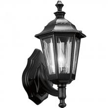 Progress P5826-31 - Cast Lantern One-Light Wall Lantern