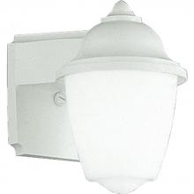 NON-METALLIC COMPACT FLUORESCENT