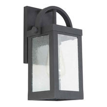 Eglo 203103A - 1x60W Outdoor Wall Light w/ Matte Black Finish & Clear Seedy Glass