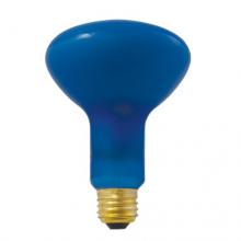 Bulbrite 710310 - 100R30PG