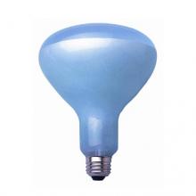 Bulbrite 711011 - 100W R40 NEODY.FL