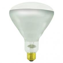 Bulbrite 714725 - 250BR40H/TC