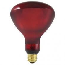 Bulbrite 714125 - 250BR40HR