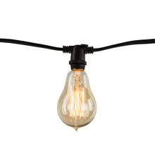 Bulbrite 810055 - STRING10/E12/BLACK-NOSA15KT