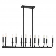  BAI-A2112-MK - Bailey 12 Light Matte Black Chandelier