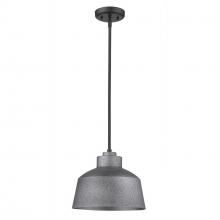 Acclaim Lighting 1655GY - Barnes 1-Light Gray Convertible Pendant