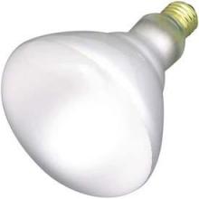 Flood Bulbs