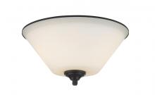 Z-Lite 432F2-BRZ - 2 Light Flush Mount