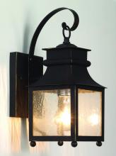 Trans Globe 45630 WB - Santa Ines 14&#34; Wall Lantern