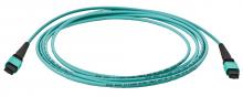 Hubbell Premise Wiring FPCPMTP50G3M290FN - FBR,CORD,P,12F,OM3,MTP,TYP-A,290FT,NPE