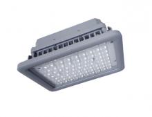 Ericson 1009-HAZ-60 - C1D2 60LED 8400LM 5000K 120DEG