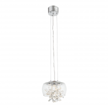 ZEEV Lighting MP40027-LED-CH - LED 11&#34; Clear Glass Dome Shade Mini Pendant