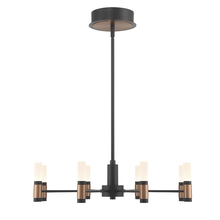 Eurofase 46352-019 - Albany 8 Light Chandelier in Black and Brass