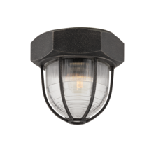 Troy C3890-APW - Acme Flush Mount