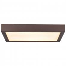 Access 20075LEDD-BRZ/ACR - Outdoor LED Flush Mount