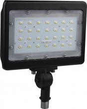 Nuvo 65/539 - LED Large Flood Light- 50W - 5000K - Bronze Finish - 100-277V