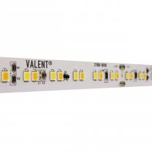 Diode Led DI-24V-VL4-WD3020-100 - STRIP/TAPE LIGHT