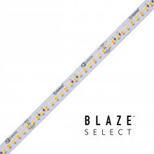 Diode Led DI-24V-BLSEL-TW2460-100 - STRIP/TAPE LIGHT