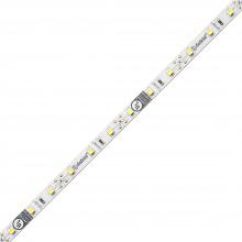 Diode Led DI-12V-FV50-80100 - FLUID VIEW LED Tape Light - 12V, 5000K, 80 CRI, 100 ft.