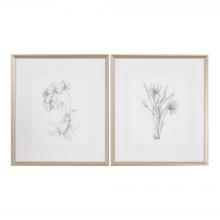 Uttermost 33649 - Botanical Sketches Framed Prints S/2