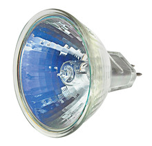 Hinkley 0016N20 - Landscape Lamp Mr16 Halogen