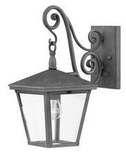 Hinkley 1430DZ - Hinkley Lighting Trellis Series 1430DZ Exterior Wall Bracket (Incandescent or LED)