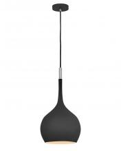 Hinkley 4457BK - Hinkley Lighting Ziggy Series 4457BK Pendant