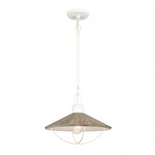 ELK Home 63157/1 - Cape May 14'' Wide 1-Light Pendant - White Coral