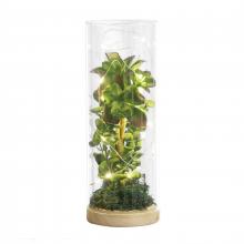 ELK Home 634239 - Luna Lighting Terrarium (2 pack)