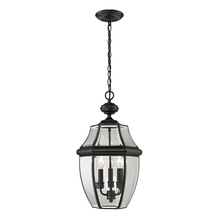 ELK Home 8603EH/60 - Thomas - Ashford 12&#39;&#39; Wide 3-Light Outdoor Pendant - Black