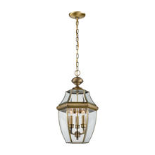 ELK Home 8603EH/89 - Thomas - Ashford 12&#39;&#39; Wide 3-Light Outdoor Pendant - Antique Brass