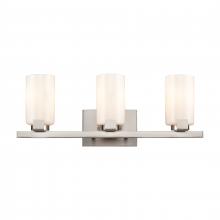 ELK Home EC89914/3 - Dressler 22&#39;&#39; Wide 3-Light Vanity Light - Brushed Nickel