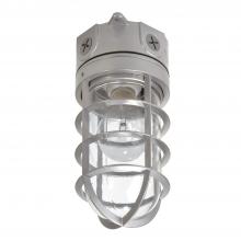 Cooper Lighting Solutions VT100G - 100W INCANDESCENT LIGHT