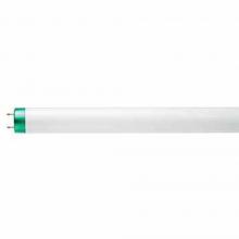 Fluorescent Lamps